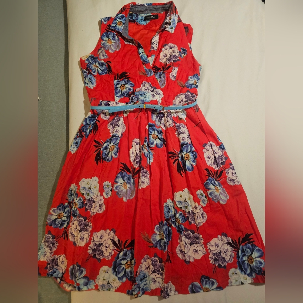 Ellen Tracy Red Sleeveless  Floral Sundress with Notched Collar